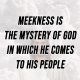 Meekness