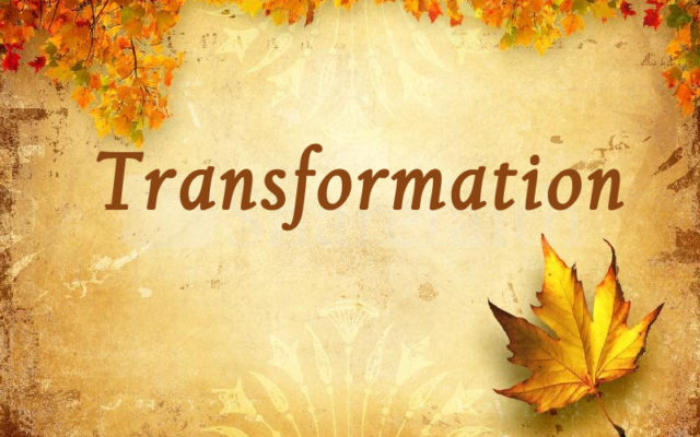 latestTransformation-640x400